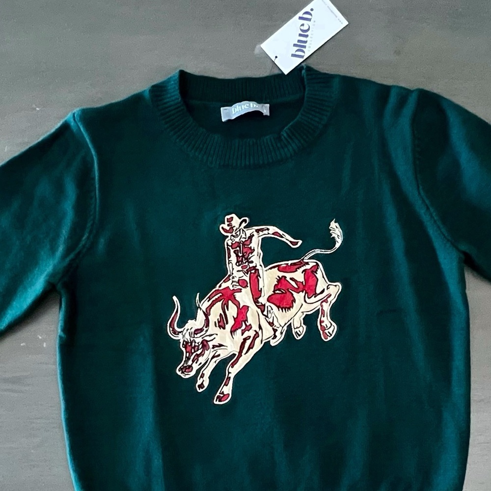 NEW Blue b Forest Green Embroidered Rodeo Horse Bucking Western Comfy Sweater S - Picture 5 of 6